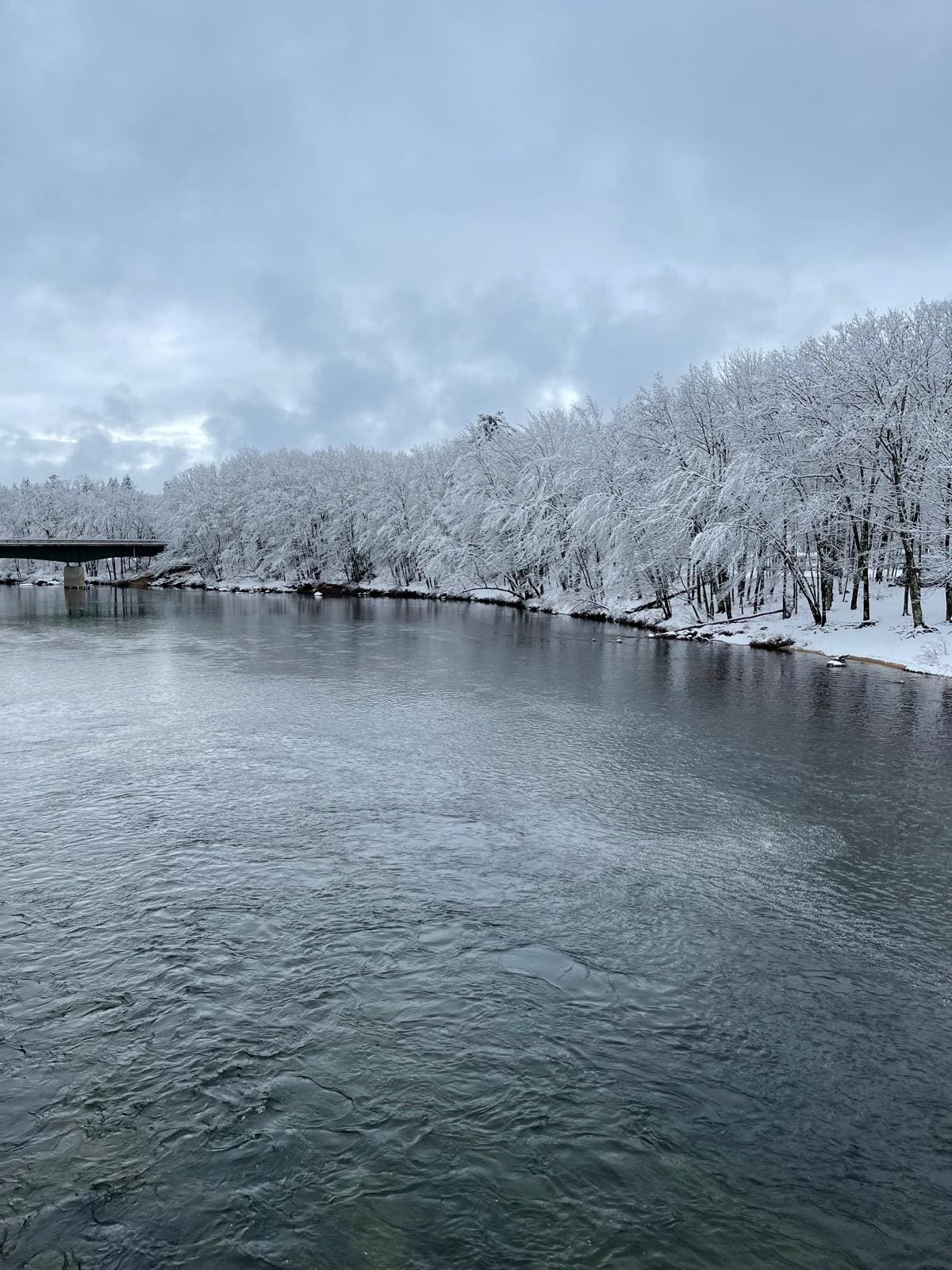 Fresh snow on the trees along the Saco River near Merrill Farm Inn in North Conway, NH